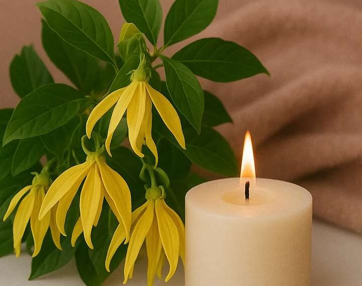 aromathérapie-bougie-ylang-ylang